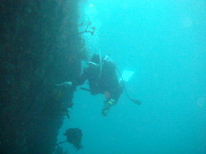 DSC04766.jpg